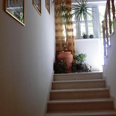 Gasthuis House Jelena 3*