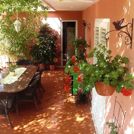 House Jelena Πανσιόν 3*