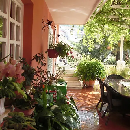 House Jelena Mlini