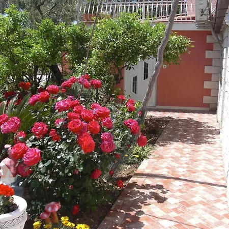 House Jelena Πανσιόν