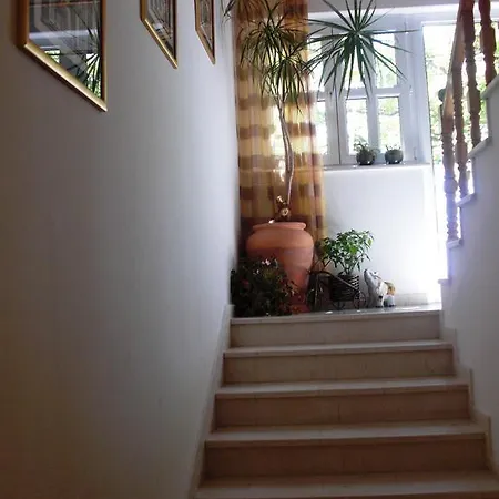 Konukevi House Jelena 3*